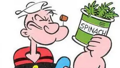 Zakon.kz, фото - Новости Zakon.kz от 26.03.2017 19:35