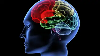 Zakon.kz, фото - Новости Zakon.kz от 20.01.2015 03:17