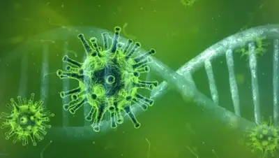 pixabay.com, фото - Новости Zakon.kz от 03.04.2020 13:29