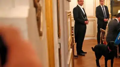 Zakon.kz, фото - Новости Zakon.kz от 28.08.2017 17:31