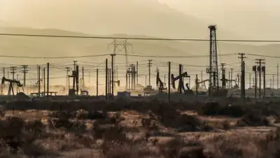 Robert Gauthier / Los Angeles Times, фото - Новости Zakon.kz от 17.07.2020 00:12