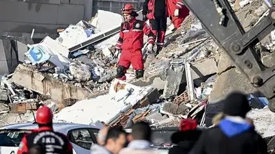 В Турции число жертв землетрясений уже достигло 29,6 тысяч человек