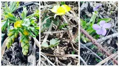 Маркакольский заповедник, фото - Новости Zakon.kz от 04.05.2022 14:52