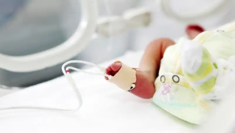 Собака в Таиланде спасла жизнь новорожденной, брошенной матерью