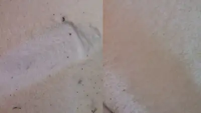 Zakon.kz, фото - Новости Zakon.kz от 02.02.2015 22:12