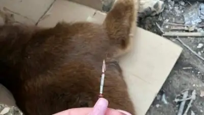 ekaraganda.kz, фото - Новости Zakon.kz от 23.04.2018 23:56