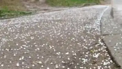 Zakon.kz, фото - Новости Zakon.kz от 29.07.2014 18:58