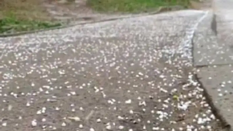 Град на Алтае: пострадали 7 человек, 3 тысячи домов нуждаются в ремонте