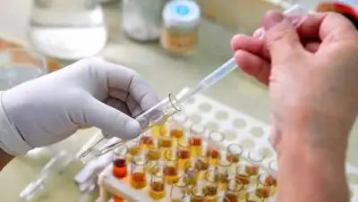 zakon.kz / Павел Михеев, фото - Новости Zakon.kz от 18.10.2021 11:35