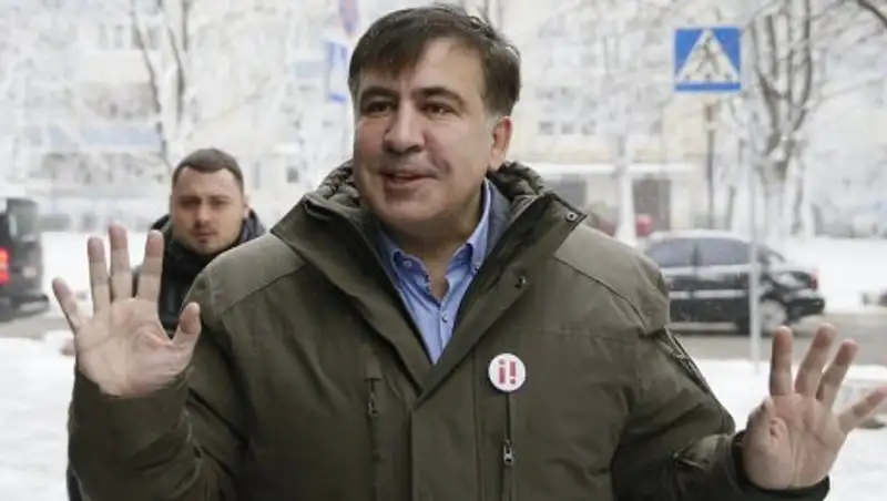 Саакашвили дали голландскую визу