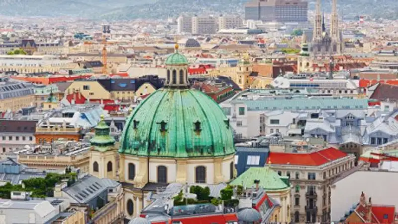 Австрия, став председателем ОБСЕ, будет бороться с радикализацией молодежи