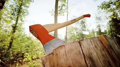 Zakon.kz, фото - Новости Zakon.kz от 12.01.2015 16:35