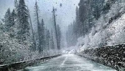 pixabay.com, фото - Новости Zakon.kz от 01.11.2021 16:11