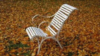 pxhere.com, фото - Новости Zakon.kz от 30.09.2021 16:32