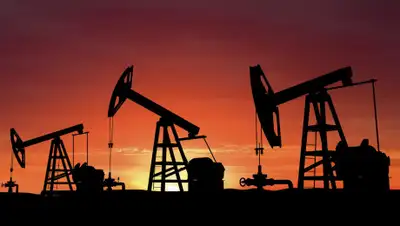 ktovkurse.com, фото - Новости Zakon.kz от 23.05.2019 15:08