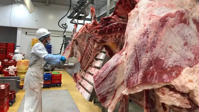 Мясо как роскошь: в Казахстане подорожало мясо, фото - Новости Zakon.kz от 11.09.2023 11:02