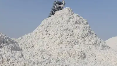 Zakon.kz, фото - Новости Zakon.kz от 06.10.2016 19:12