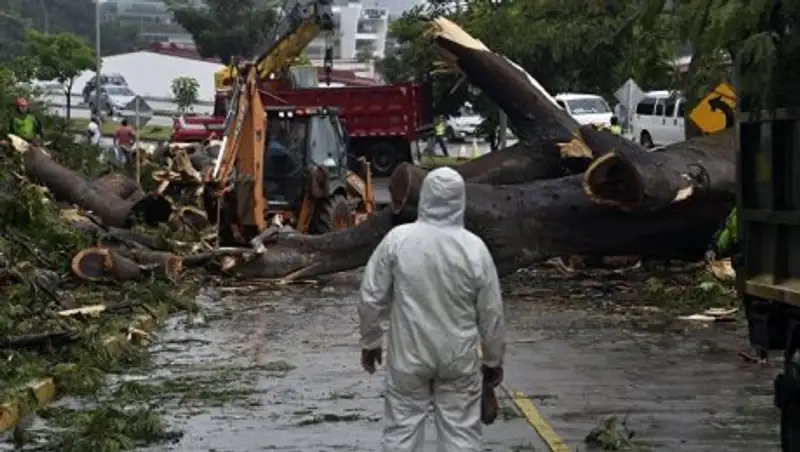 В Тихом океане сформировался тропический шторм "Лидия"