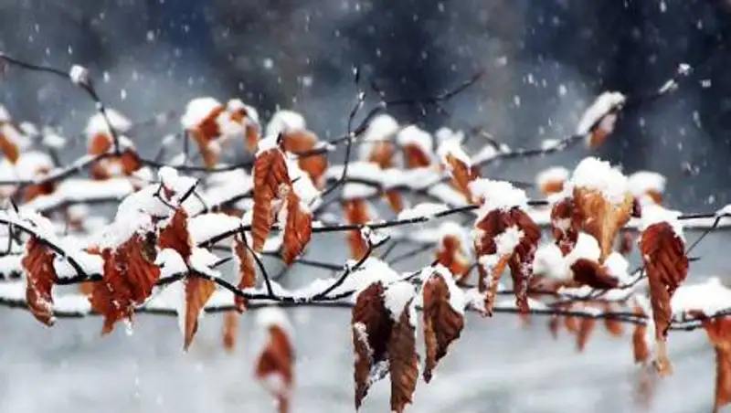 Сильные осадки, гололед и метель ожидаются в Казахстане