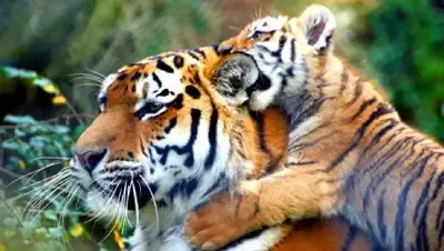 inform.kz, фото - Новости Zakon.kz от 16.04.2018 13:02