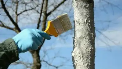 Zakon.kz, фото - Новости Zakon.kz от 17.08.2016 20:21