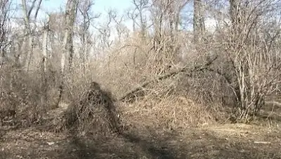 Zakon.kz, фото - Новости Zakon.kz от 02.11.2016 23:48