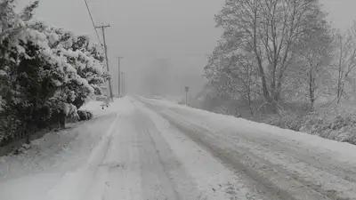 Какие дороги закрыты в Казахстане из-за непогоды, фото - Новости Zakon.kz от 08.01.2023 15:05