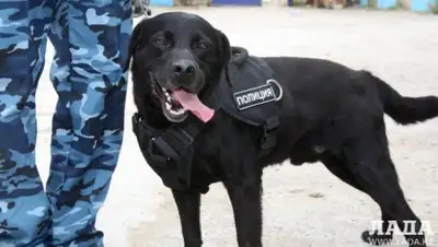 Zakon.kz, фото - Новости Zakon.kz от 07.05.2016 22:25