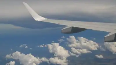 pxhere.com, фото - Новости Zakon.kz от 05.02.2021 12:34