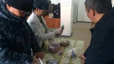 КУИС, фото - Новости Zakon.kz от 28.02.2019 16:46