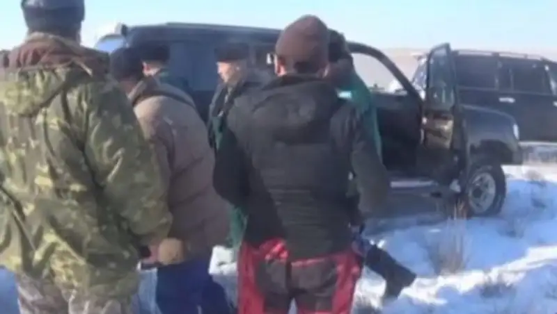 Браконьеры убили 19 сайгаков в Актюбинской области