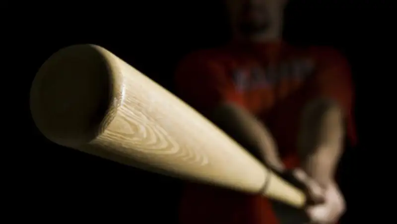 Отбивал бейсбольной битой: американец спас дочь казахстанского дипломата от собаки