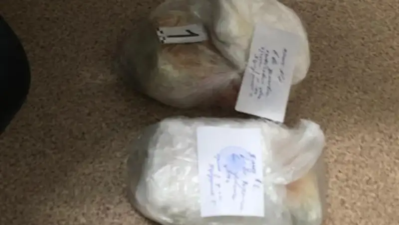 В Жамбылской области задержаны женщины, занимавшиеся наркобизнесом