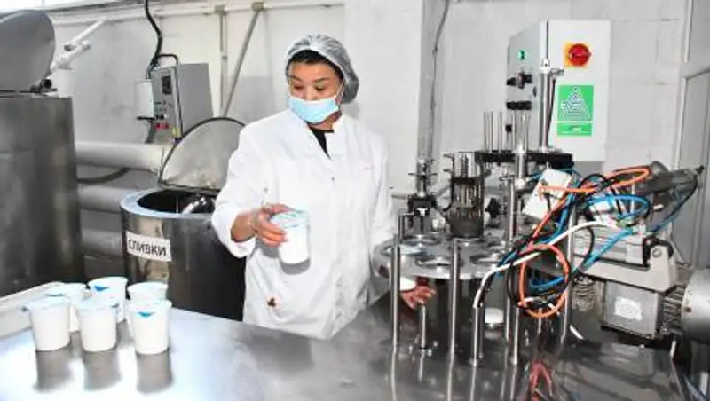 Как осуществляется поддержка бизнеса в Акмолинской области