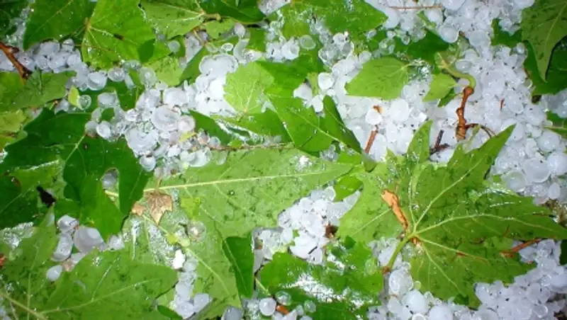 Град прогнозируют синоптики 9 мая в большинстве регионов страны