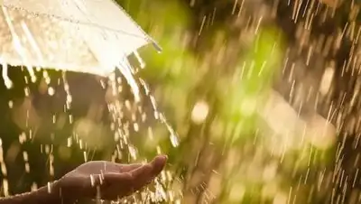 zakon.kz., фото - Новости Zakon.kz от 22.10.2020 06:00