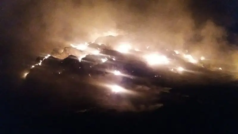 пожар, сено, фото - Новости Zakon.kz от 19.08.2022 18:52