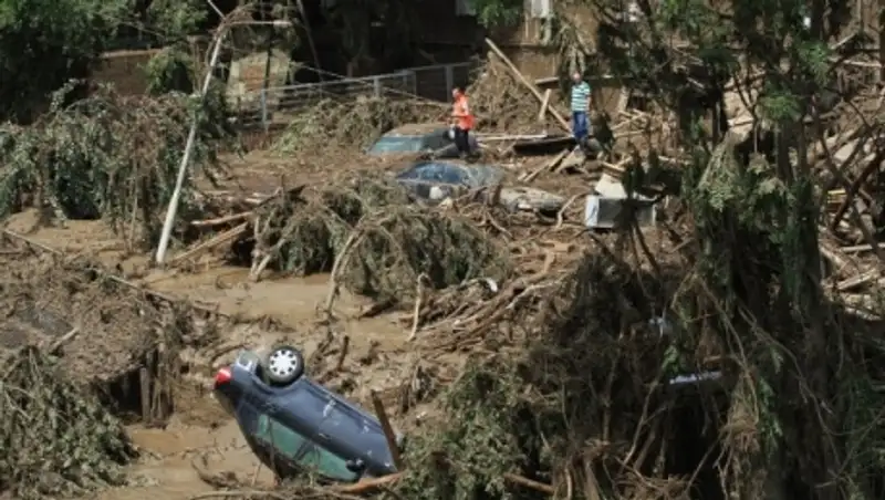 Разрушенный от наводнения зоопарк Тбилиси готовится принимать гостей