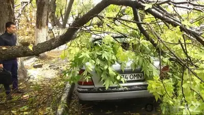 Zakon.kz, фото - Новости Zakon.kz от 19.10.2016 01:11