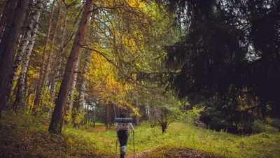 Zakon.kz, фото - Новости Zakon.kz от 16.10.2017 12:09