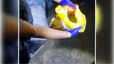 1,5 кг марихуаны в машине, фото - Новости Zakon.kz от 20.07.2022 21:39