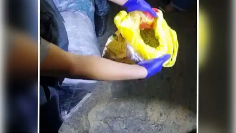 1,5 кг марихуаны перевозил житель Кызылординской области в машине