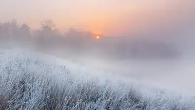 Belnaviny.by, фото - Новости Zakon.kz от 14.02.2019 16:27