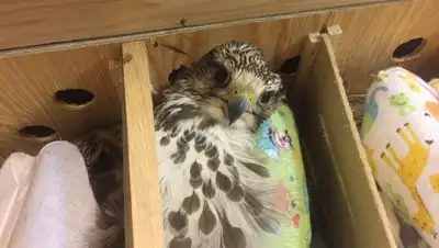 Zakon.kz, фото - Новости Zakon.kz от 16.11.2016 18:44