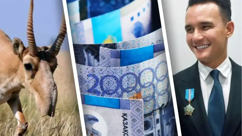 "Антинародный" налоговый кодекс, охота на сайгаков и скандал с Али Окаповым: главное за день 27 октября