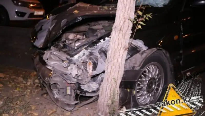 Toyota едва не снесла дерево в результате аварии в Алматы