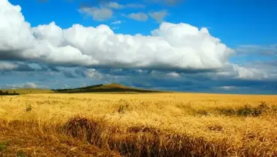 Управление внутренней политики Акмолинской области, фото - Новости Zakon.kz от 11.07.2018 20:17
