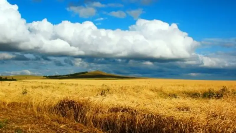 В Акмолинской области увеличивается количество предпринимателей