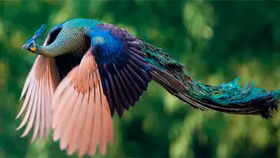 Zakon.kz, фото - Новости Zakon.kz от 16.03.2016 22:35