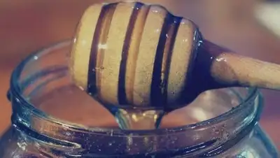 Zakon.kz, фото - Новости Zakon.kz от 24.01.2017 13:56